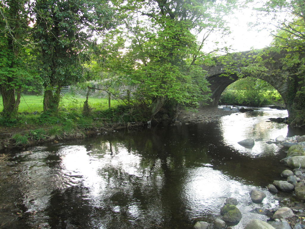 Riverside Lodge Carlingford Kültér fotó